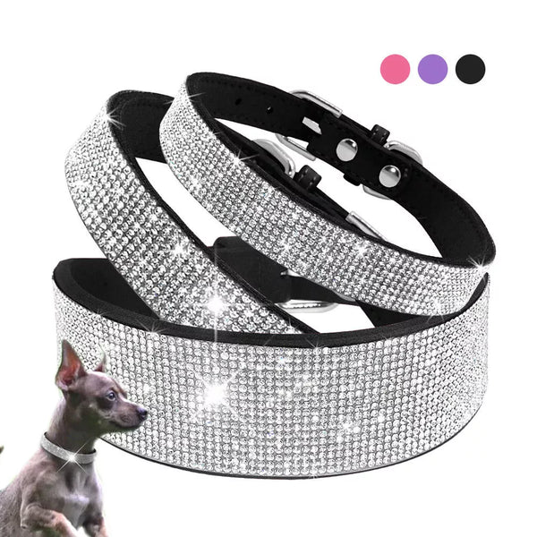 Bling Bling Leather Collar and Leash