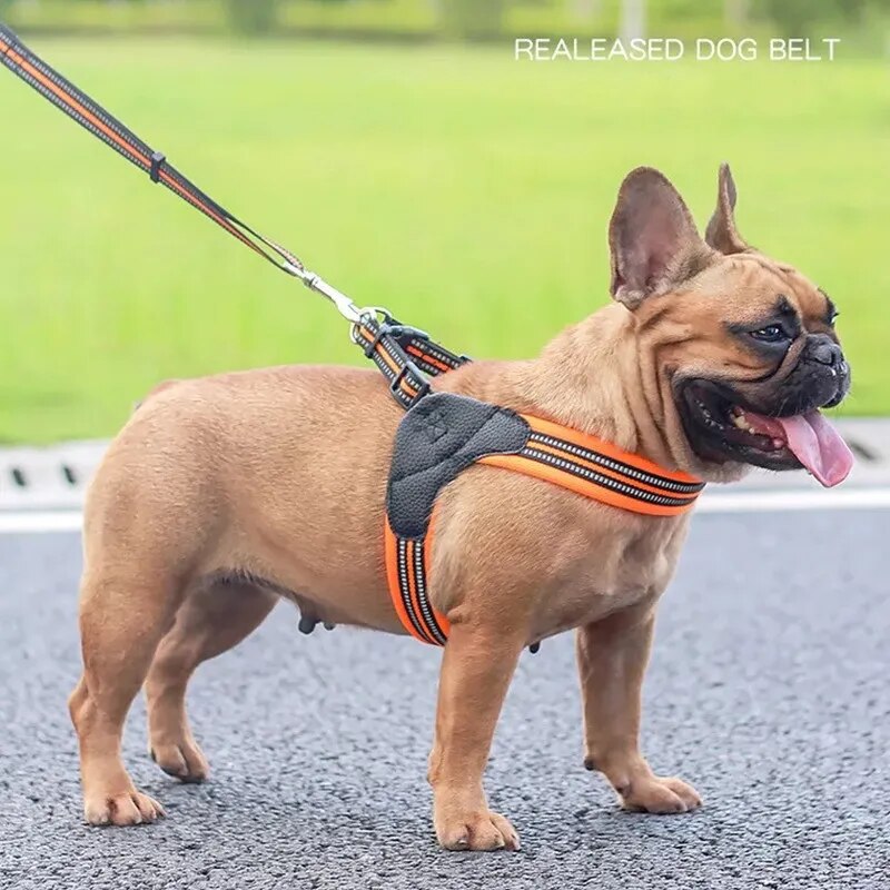 'Don't Pull Me' Reflexive Harness and Leash Set