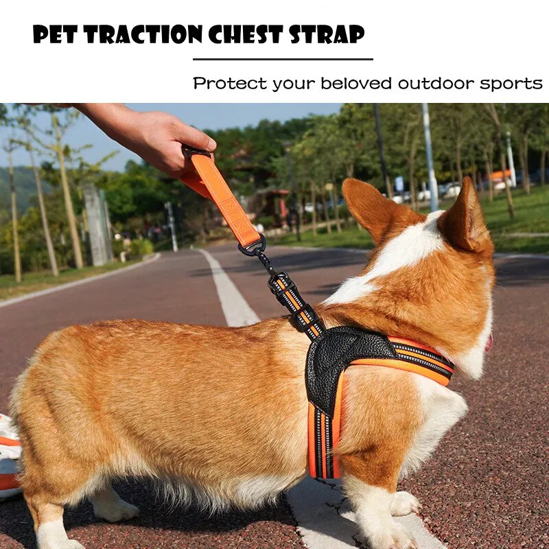 'Don't Pull Me' Reflexive Harness and Leash Set