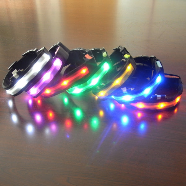 LED Flashing Safety Glow Collar